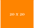 20 x 20